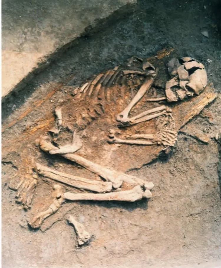 Ilıpınar DNA araştırmasında ilginç sonuçlar