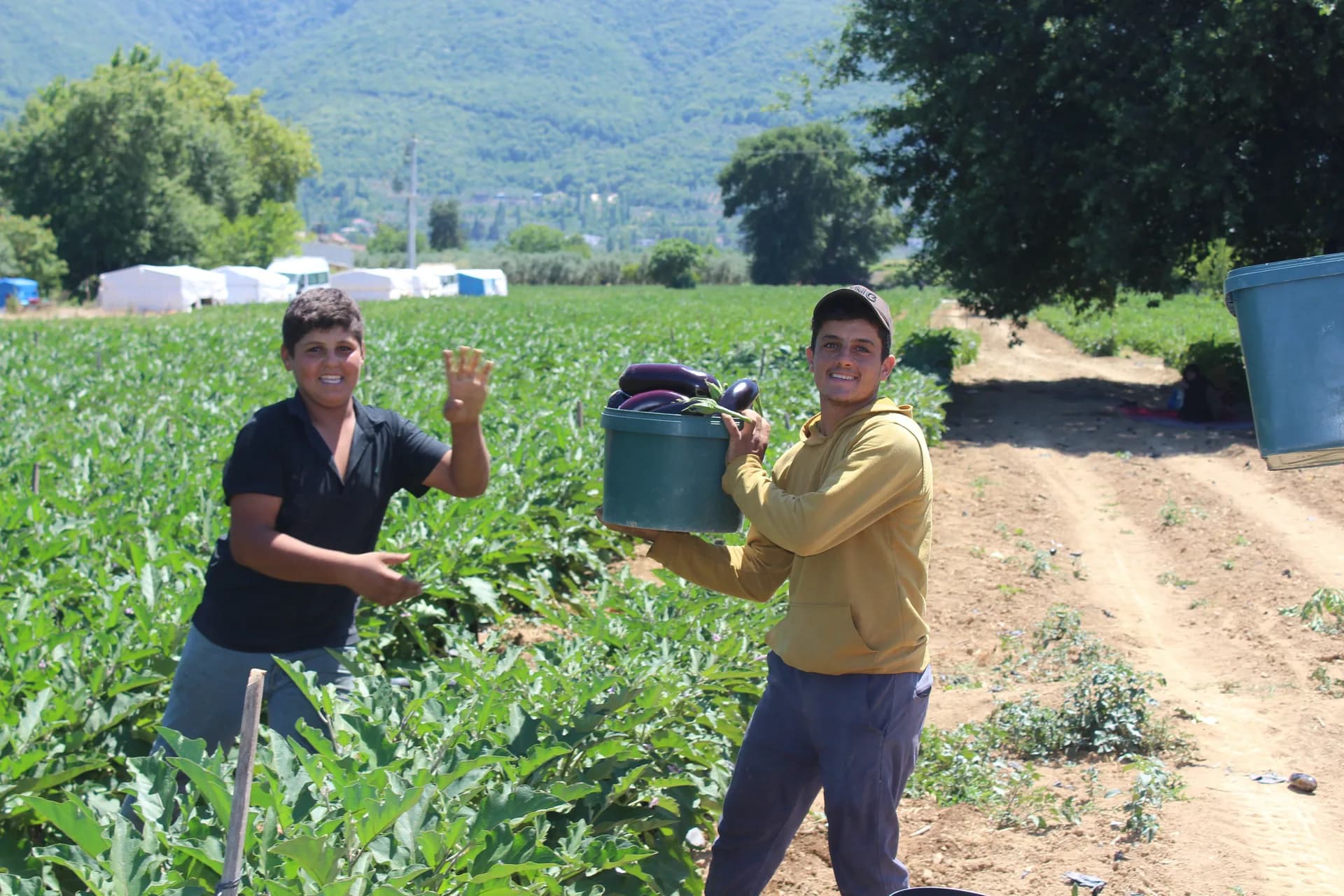 TARLADA GEÇEN BİR ÇOCUKLUĞUN SESSİZ HİKÂYESİ